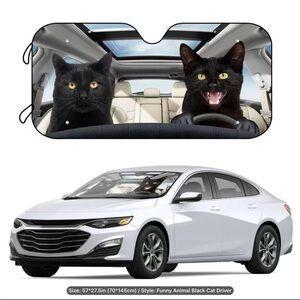 Front car window sun shade.